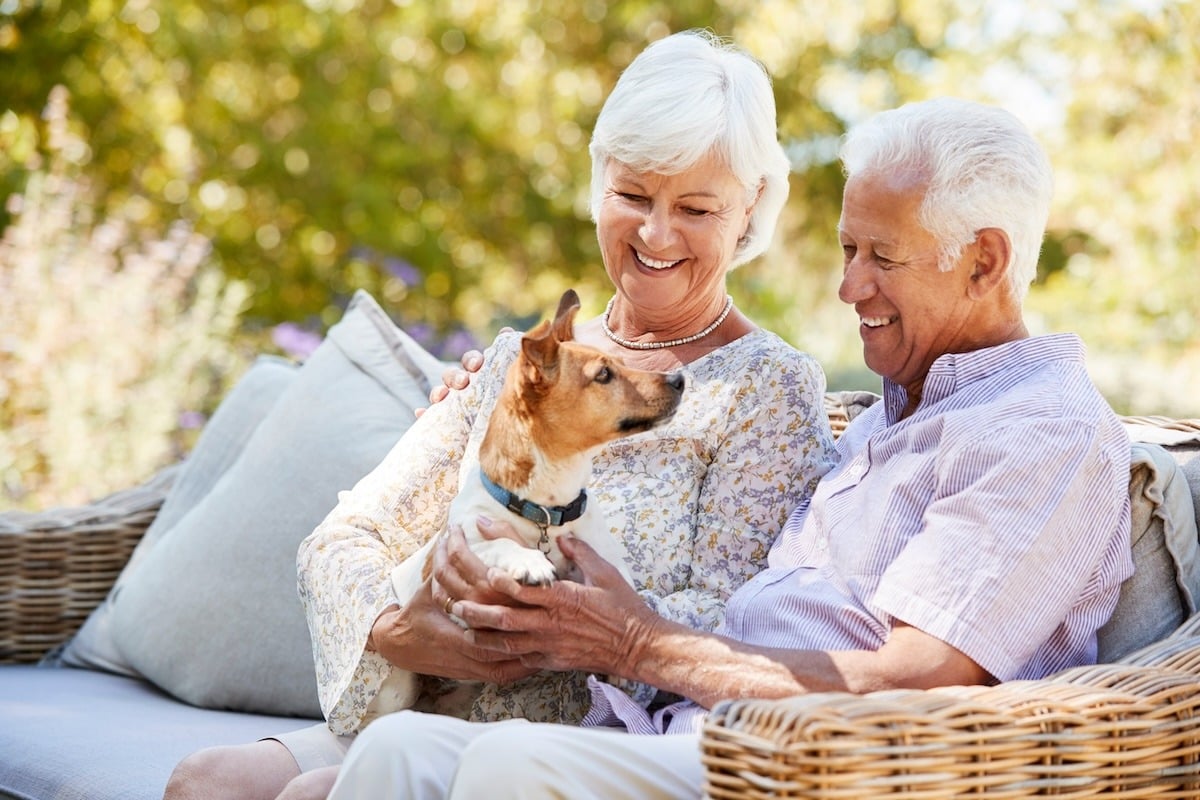 Senior couple with dog sitting on lap