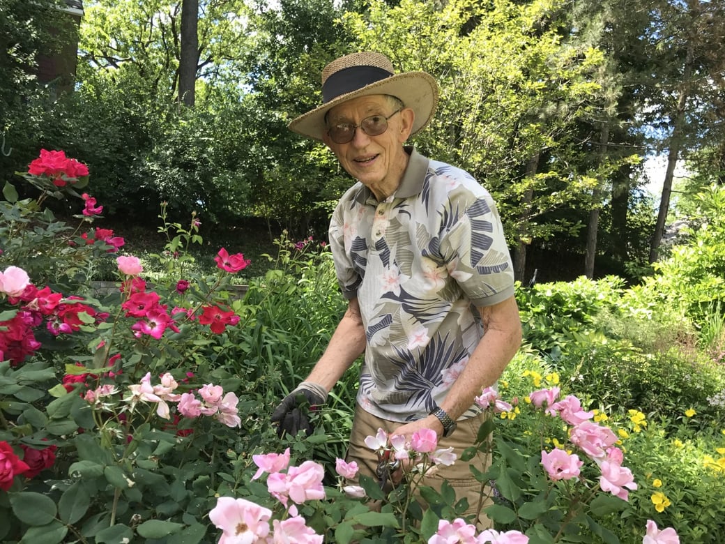 The Benefits of Gardening for Seniors