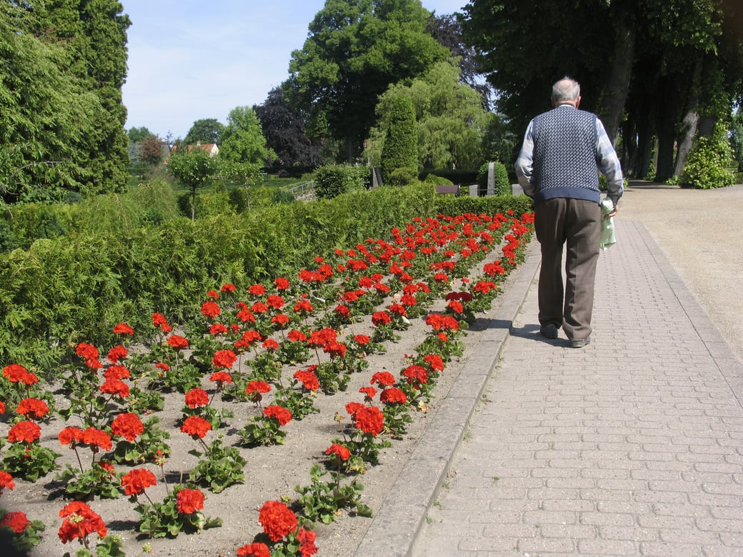 Senior Walking with Flowers
