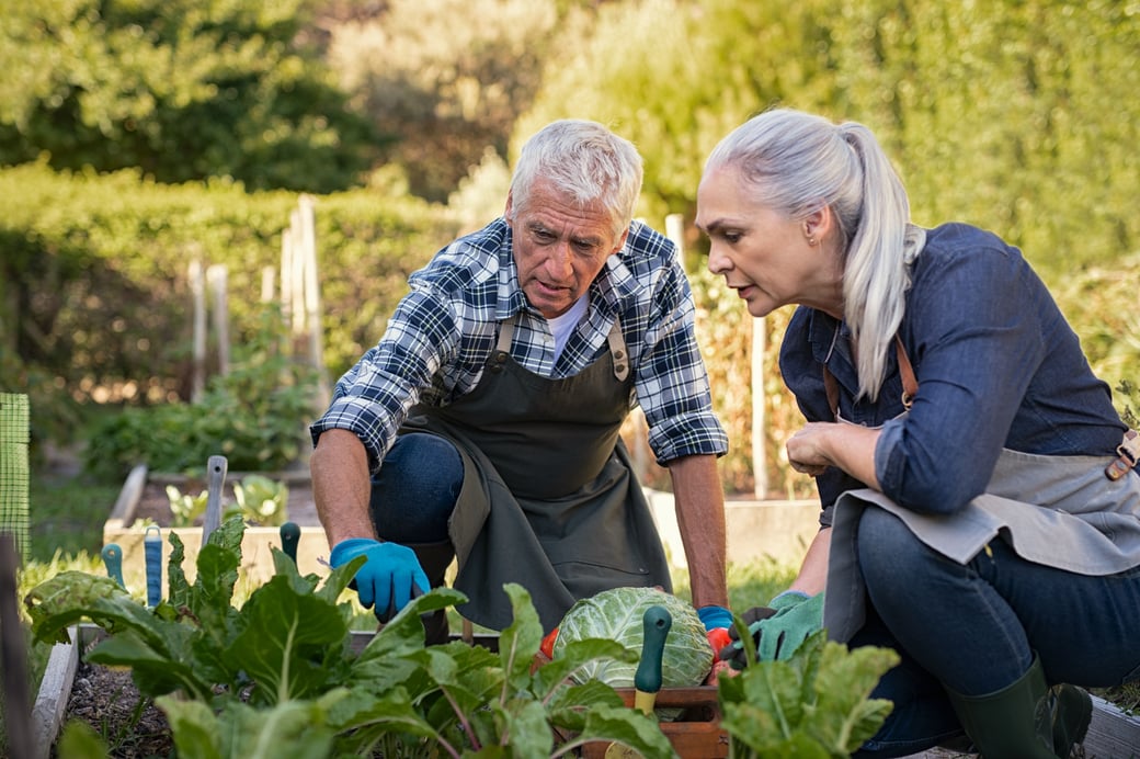 Bethesda's Guide to Community Gardens in St. Louis