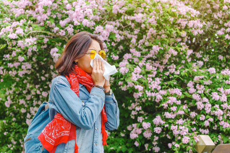 Tips for Avoiding Seasonal Allergies for Seniors