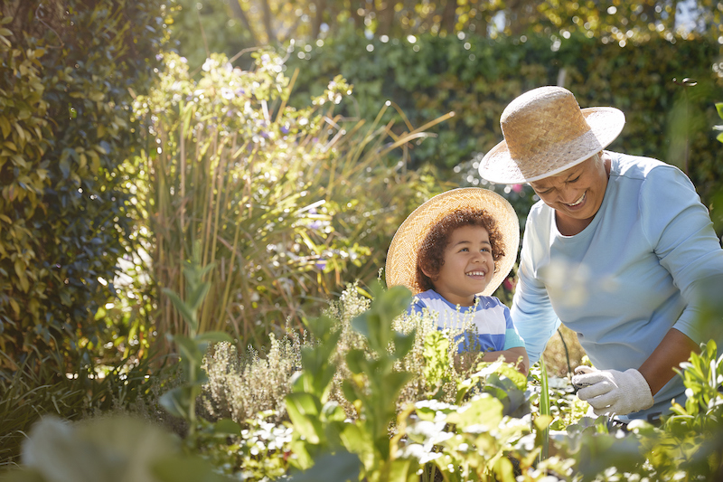 Senior and grandchild gardening