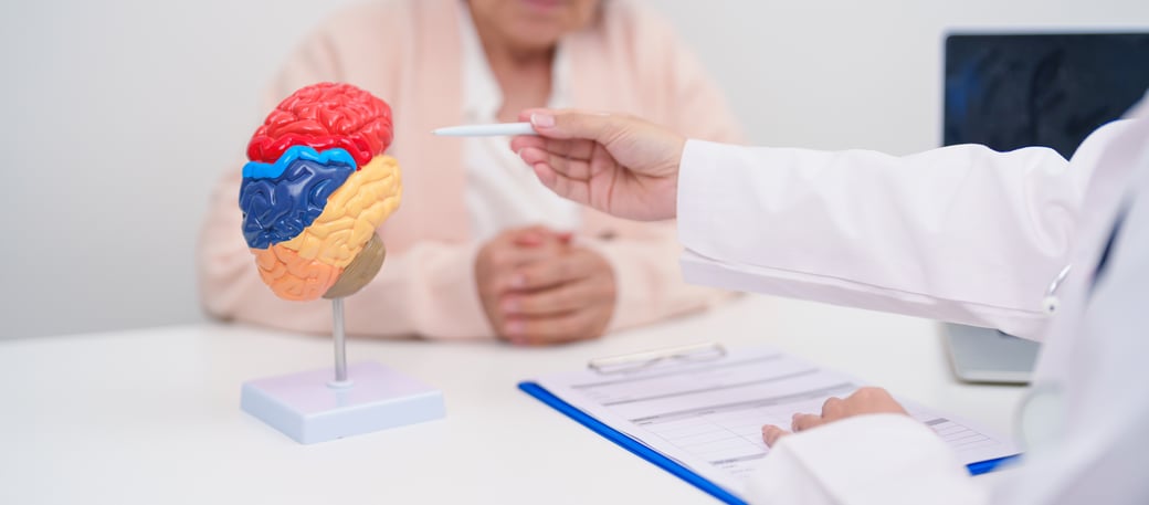 Doctor pointing to model brain with senior patient