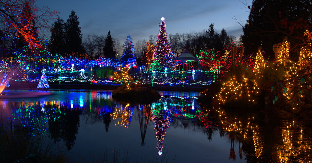 Colorful holiday lights display