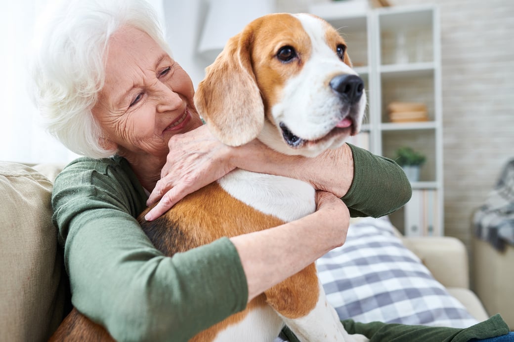 Senior woman hugging dog on couch