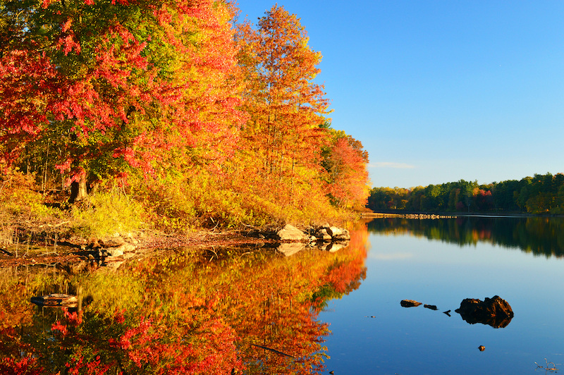 Fall foliage reflecting off of a lake